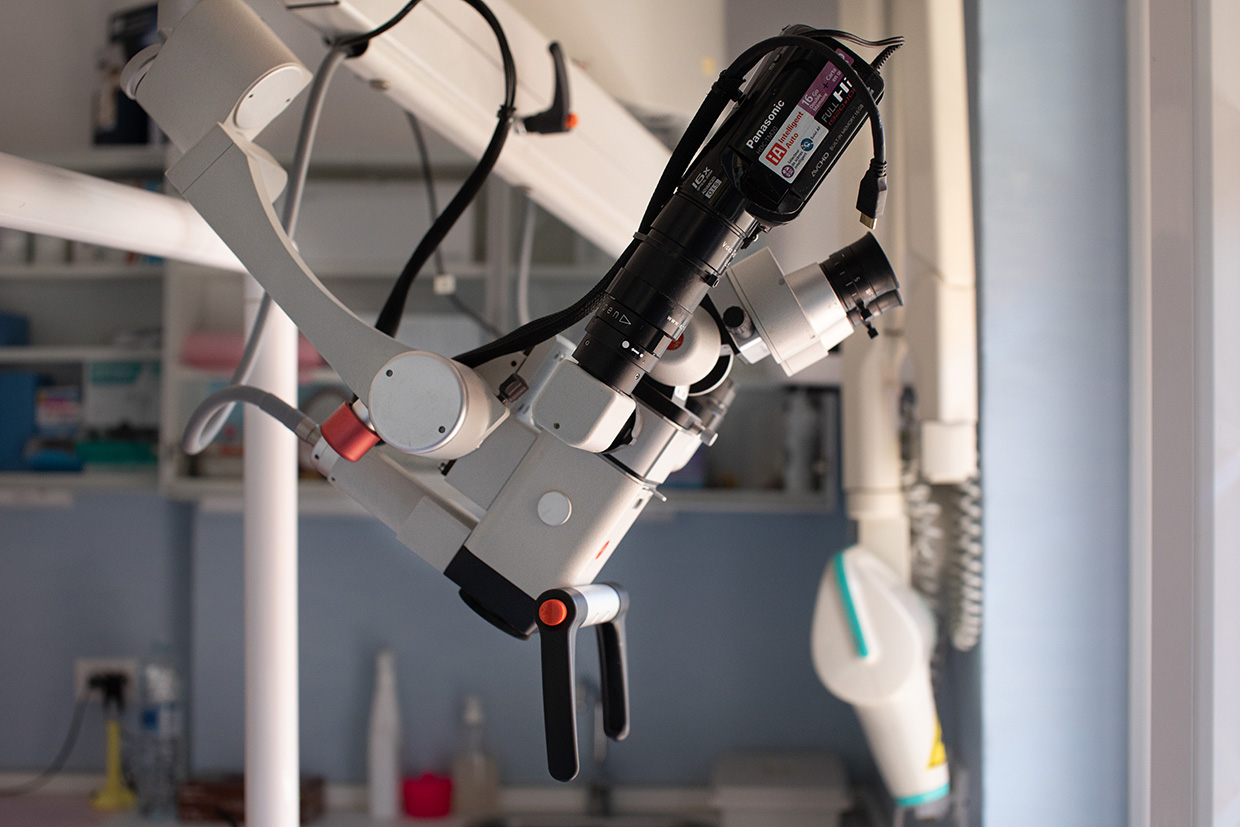 Odontoiatria conservativa a Monterotondo RM